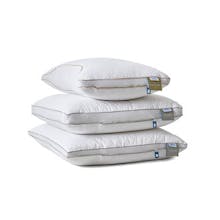 hoofdkussens Eijerkamp