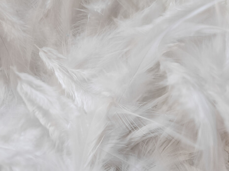 donzen dekbedden Eijerkamp