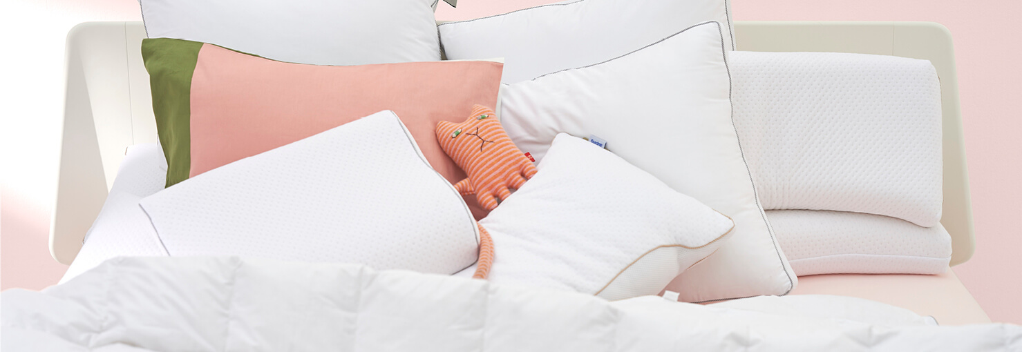 Hoofdkussens Eijerkamp