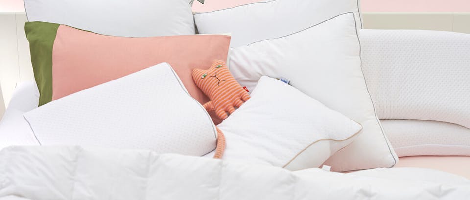 Hoofdkussens Eijerkamp