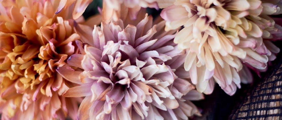 Silk-ka bij Eijerkamp