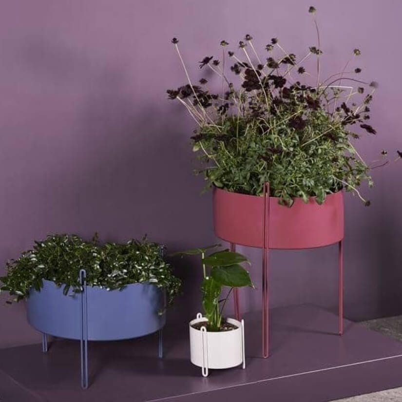 woontrend 2020 Purple Rain WOUD plantenbak Pidestal
