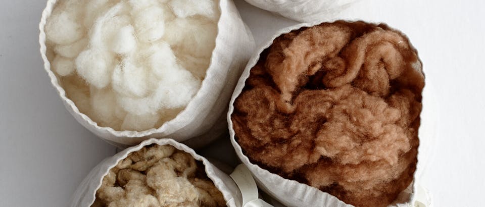 kameelhaar dekbedden Eijerkamp