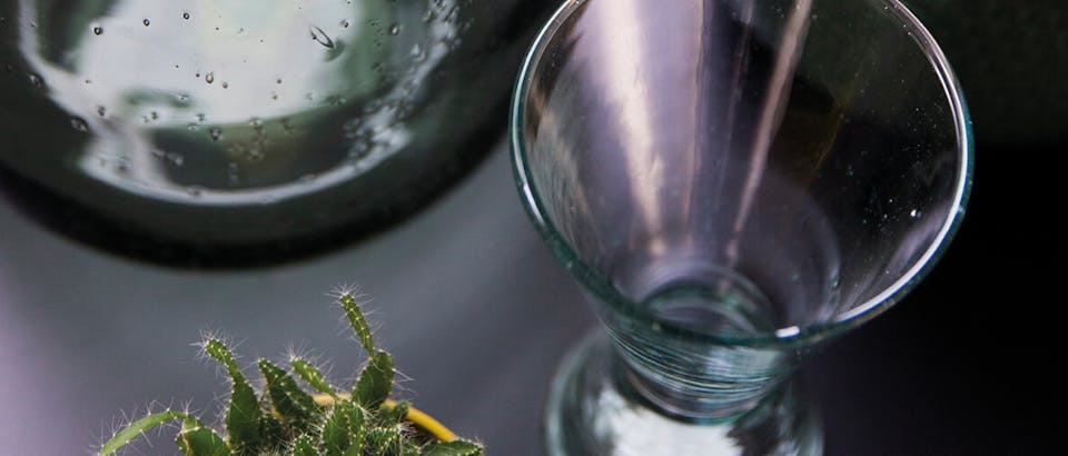 Trendhopper vazen eijerkamp